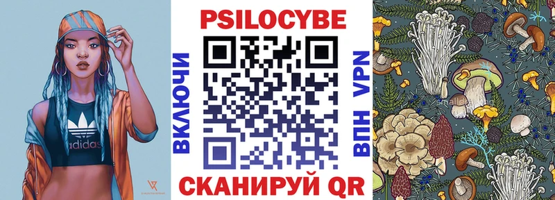 как найти закладки  Ленинск  мега как войти  Псилоцибиновые грибы мицелий 